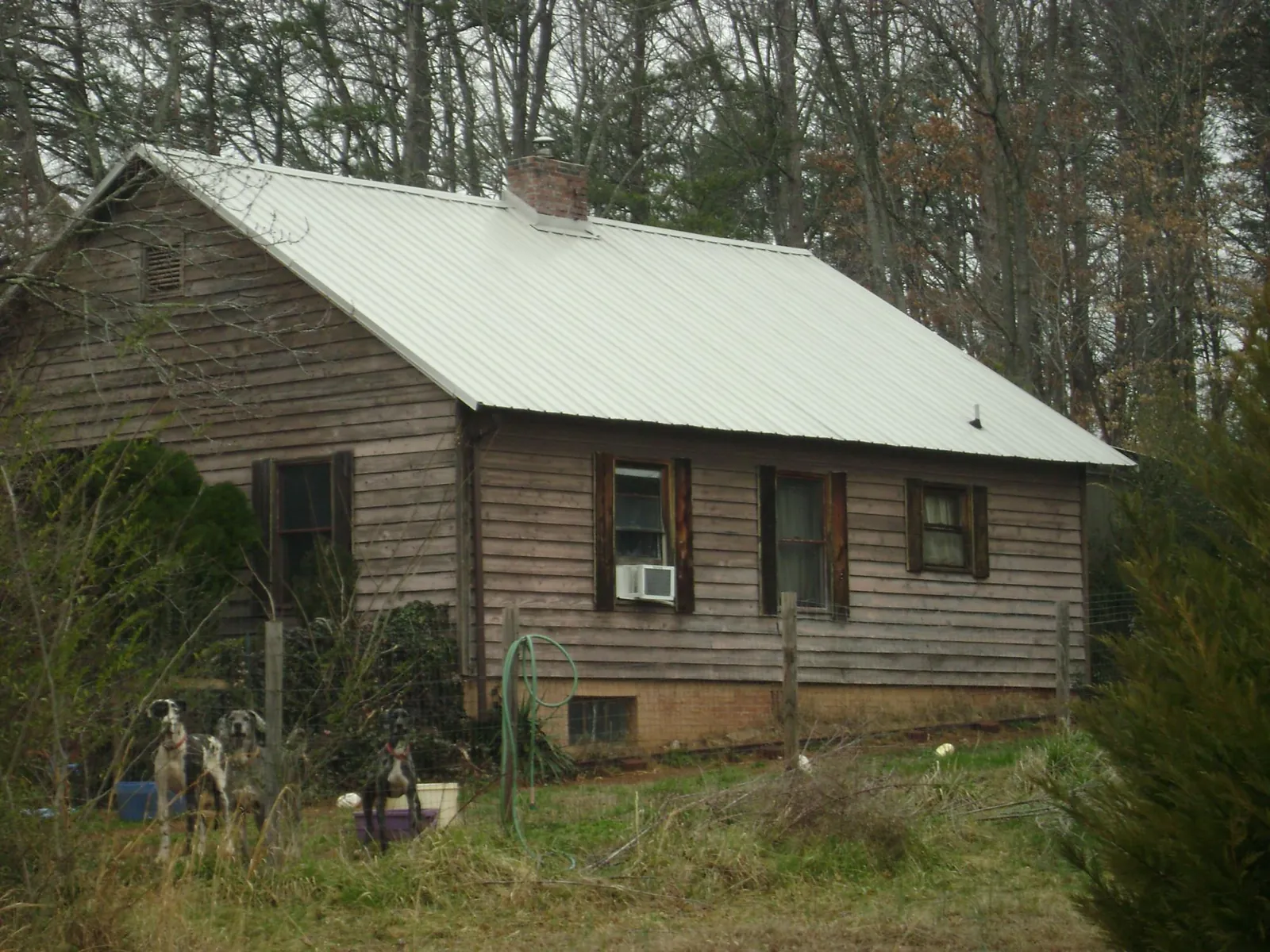 White metal roof on an old wood sided farmhouse, from a Asphalt Shingle Roof Repair job in Winfield